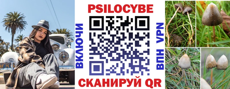 Купить закладки  Фатеж  Галлюциногенные грибы Psilocybe 